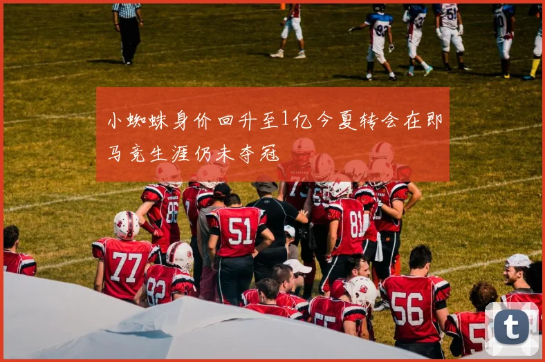 小蜘蛛身价回升至1亿今夏转会在即马竞生涯仍未夺冠