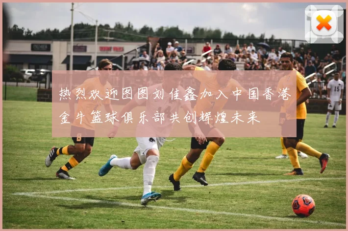 热烈欢迎图图刘佳鑫加入中国香港金牛篮球俱乐部共创辉煌未来